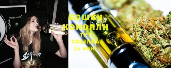 стафф Тавда